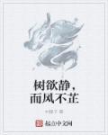 树欲静而风不止子欲养而亲不待翻译