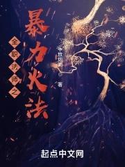 全职法师之火焰