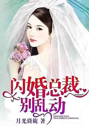 闪婚老公别乱来全文阅读免费