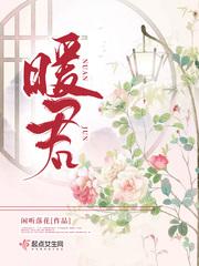 暖君 闲听落花TXT