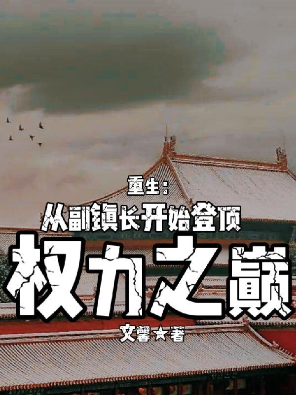 主角从乡镇开始的 官场