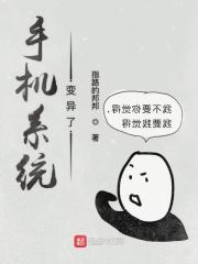 手机系统乱了怎么修复