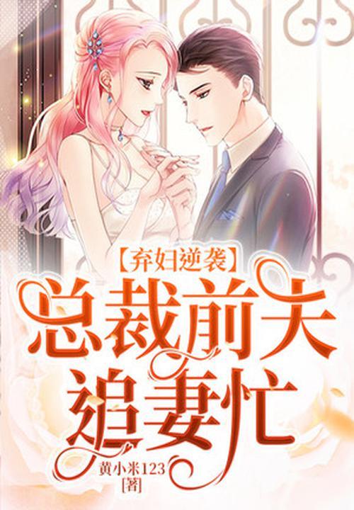 弃婚总裁前妻别来无恙苏荞